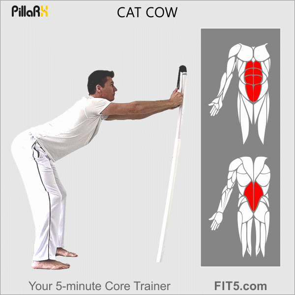 FIT5.com PillaRX Exercise 5
